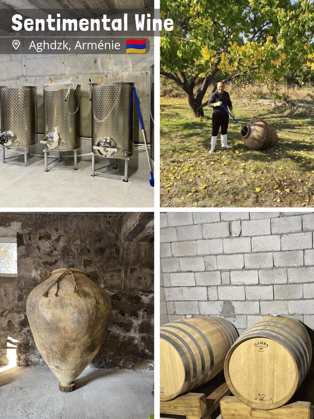Sentimental Wine